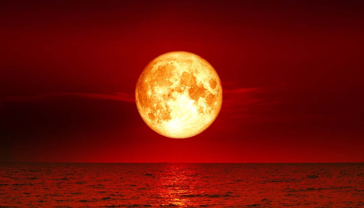 The Super Flower Moon &ndash; What the Last Full Supermoon of 2020 Means for You