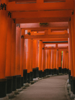 Is it impossible or is it simply on ice Extended10MinuteWebChat Discount Only 4USD