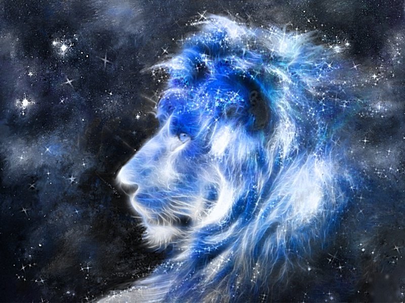 All about Leo