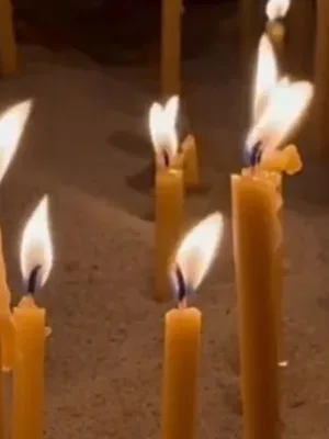 Predictions that you can count on for better decisions