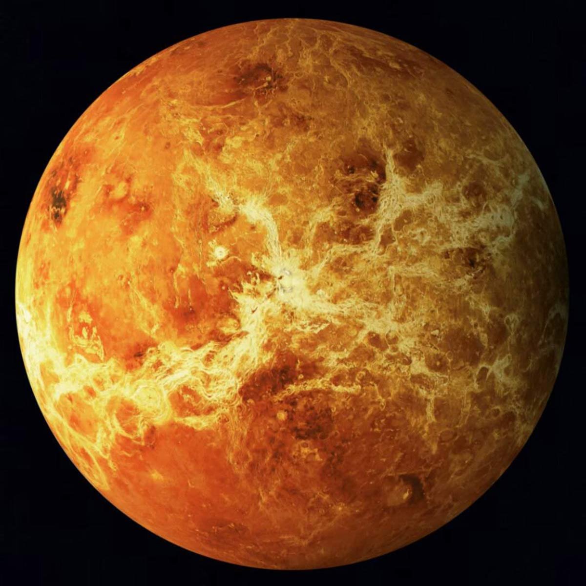 Venus is out of bounds and will Retrograde this month