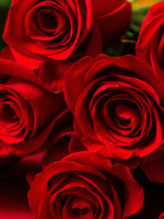 Unlock Your Life and Relationship Potential Life Coach