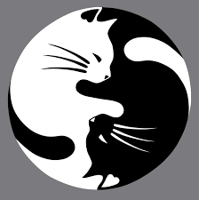 yinyang4