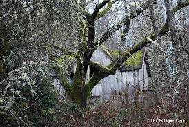 abandoneddreams4