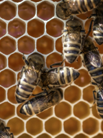 Business for you is a 24 hour day