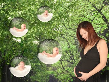 pregnant dreams