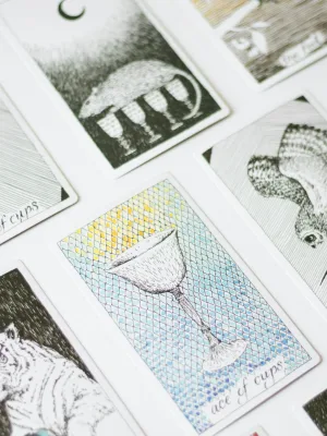 Who is the dreamlover a steamy obsession or a luring haunting 0110 Caliber affection know now