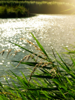 Get the drop that overflowed the goblet everytime