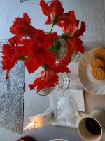 Naturally gifted psychic with the ability to work with anyone or any pet get accurate answers and spiritual advice