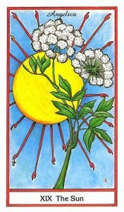 tarot the sun