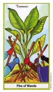 five of wands tarot
