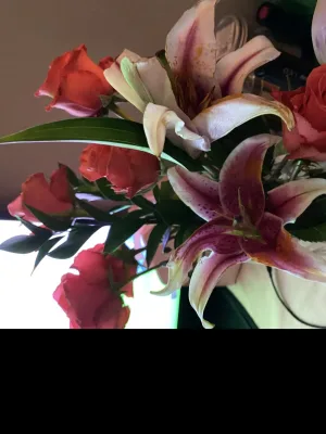 Predictions that you can count on for better decisions