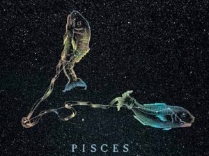 piscesrb