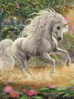 MysticalUnicorn