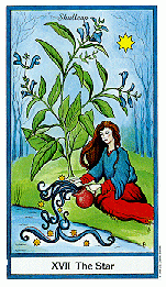 tarot the star