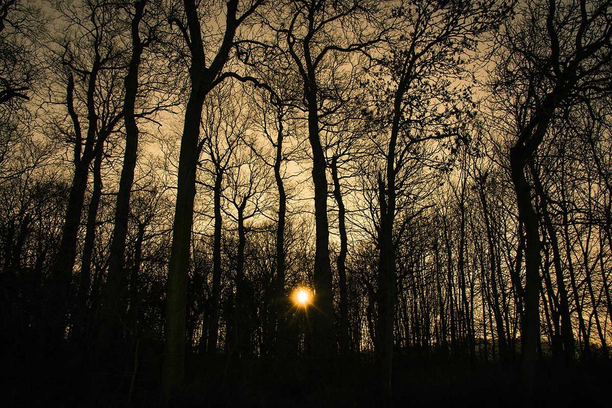 What is a winter solstice?