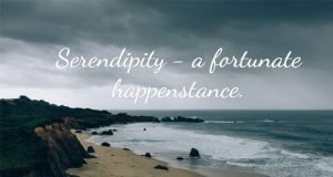 serendipity-18