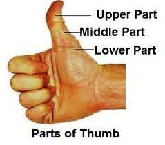 Thumb Readings