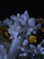 Who is the dream lover a steamy obsession or a luring haunting