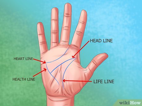 Palmistry/ Palm Reading