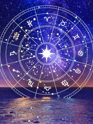 Veil Of Insight