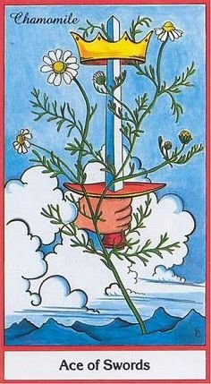 Daily Tarot Reading: August 30, 2016
