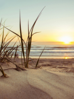 Get the drop that overflowed the goblet everytime