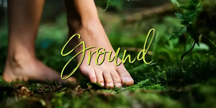 Physical Grounding