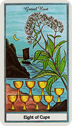 eight of cups