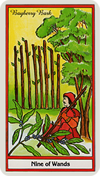 nine of wands