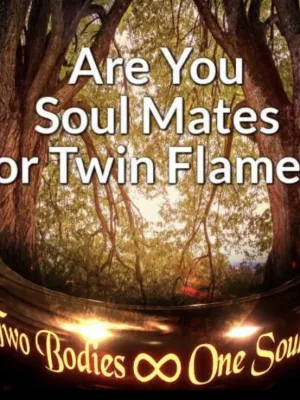 Twin flame soul mate healer