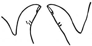 thumbs