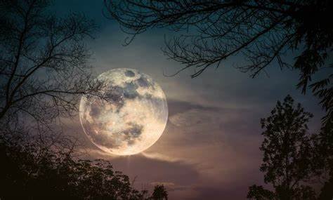 The Full Moons of 2020