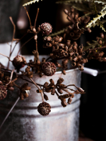 Who is the dreamlover a steamy obsession or a luring haunting 0110 Caliber affection know now