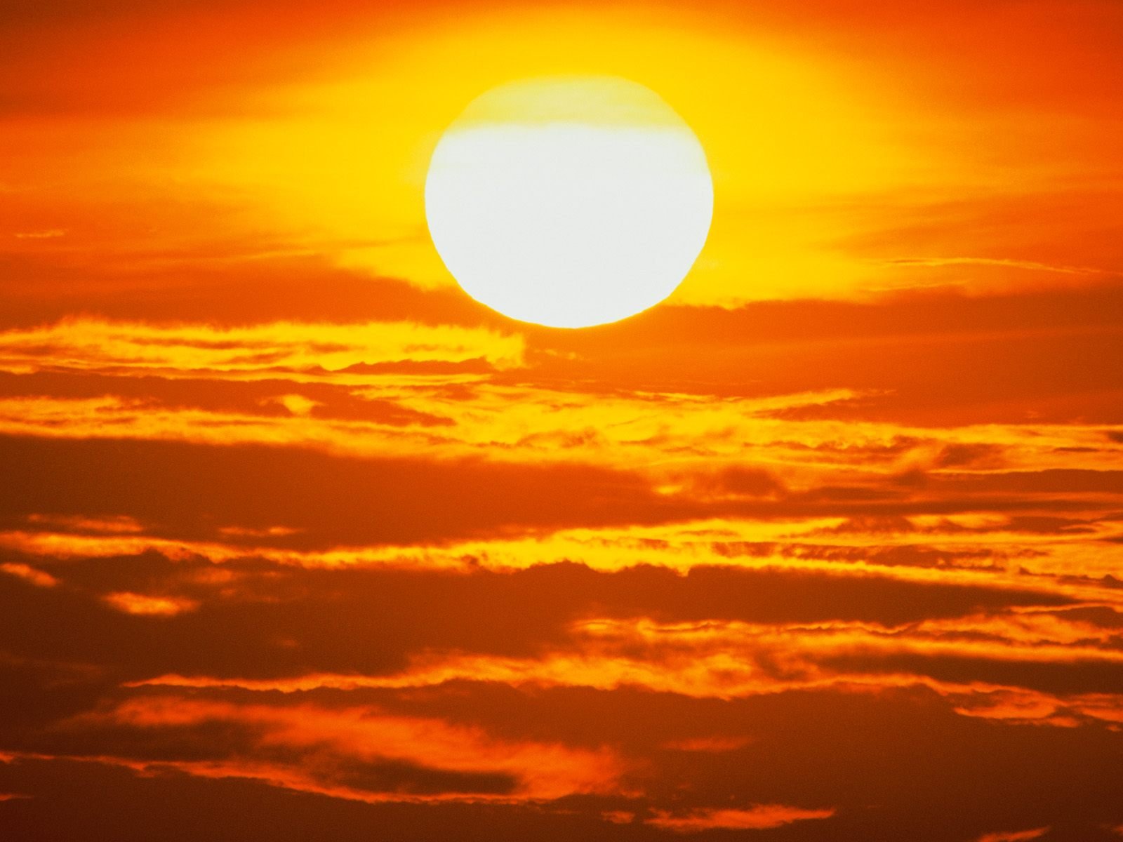 Blazing Yellow Sun