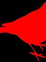 Cardinal Intuitive