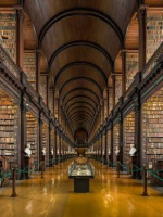Certified Akashic Reader Access all info through your Akashic Book
