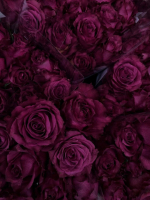 For you and for the people youve brought along with you