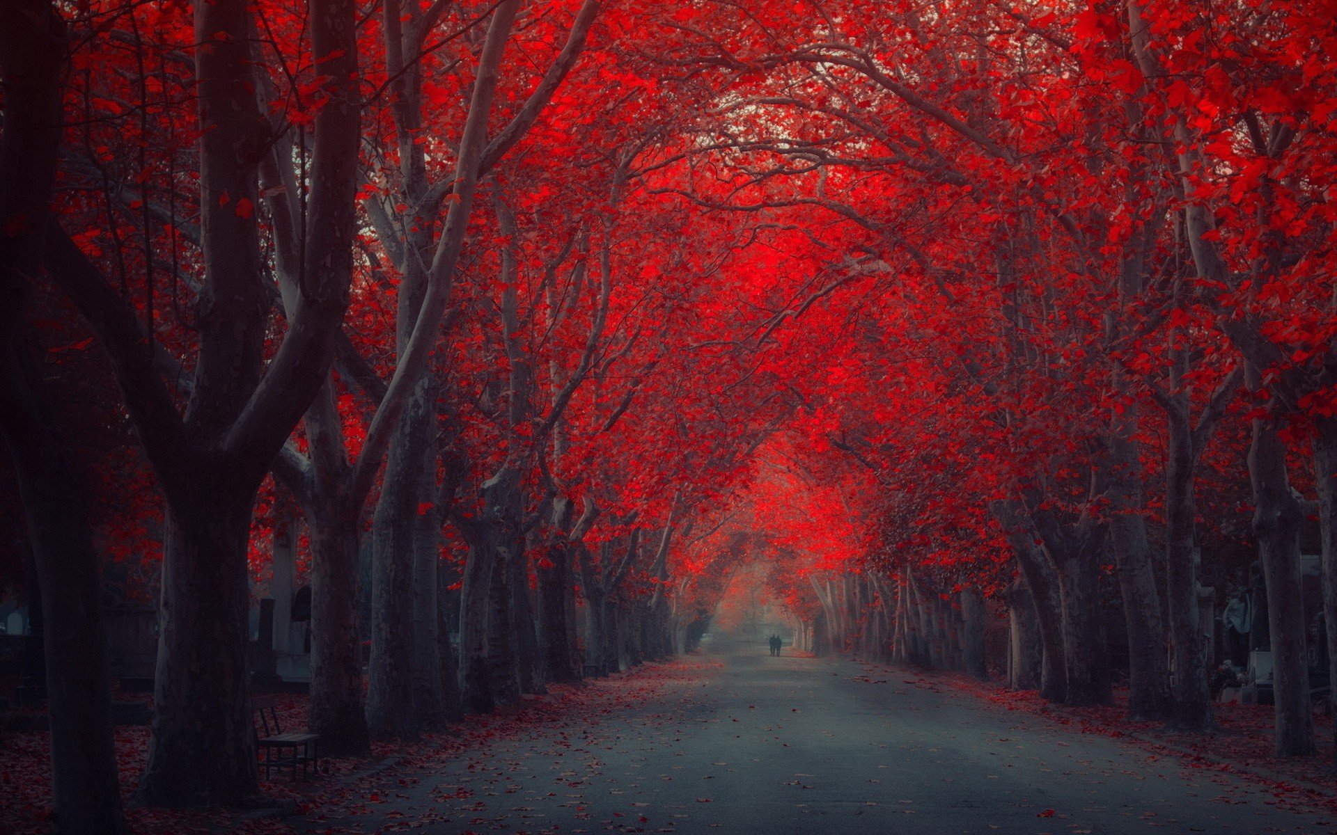 Color Red In Nature