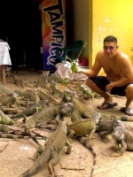 BiLingual English Spanish Psychic