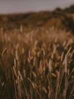 Is it impossible or is it simply on ice Extended10MinuteWebChat Discount Only 4USD