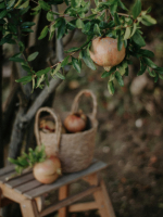 Is it still impossible or is it simply on ice Extended10MinuteWebChat Discount Only 4USD