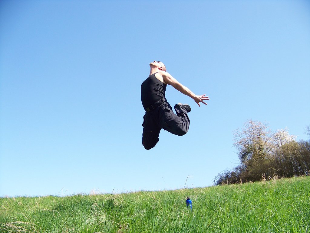 Flying Dreams