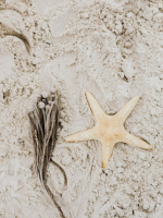 Get The Drop That Overflowed The Goblet a key to the stormy alliance between enthraldom and bloodred garbage fire reality