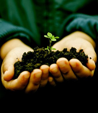 Growth And Healing