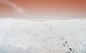 snowdreams