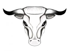 taurus-2