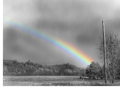 Color Vs Black and White Dreams