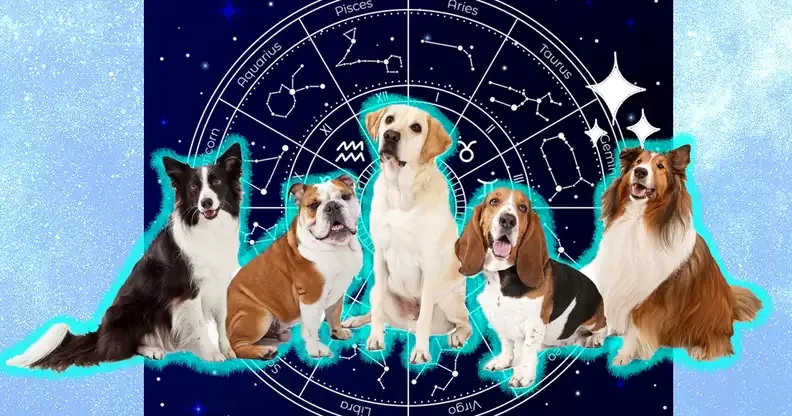 Pet Zodiac&rsquo;s