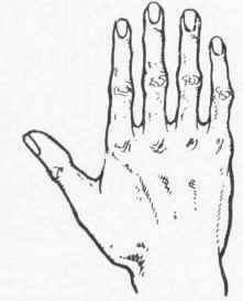 The Philosophic Hand